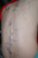 /album/fotogalerij-fotos/img-6524-jpg/